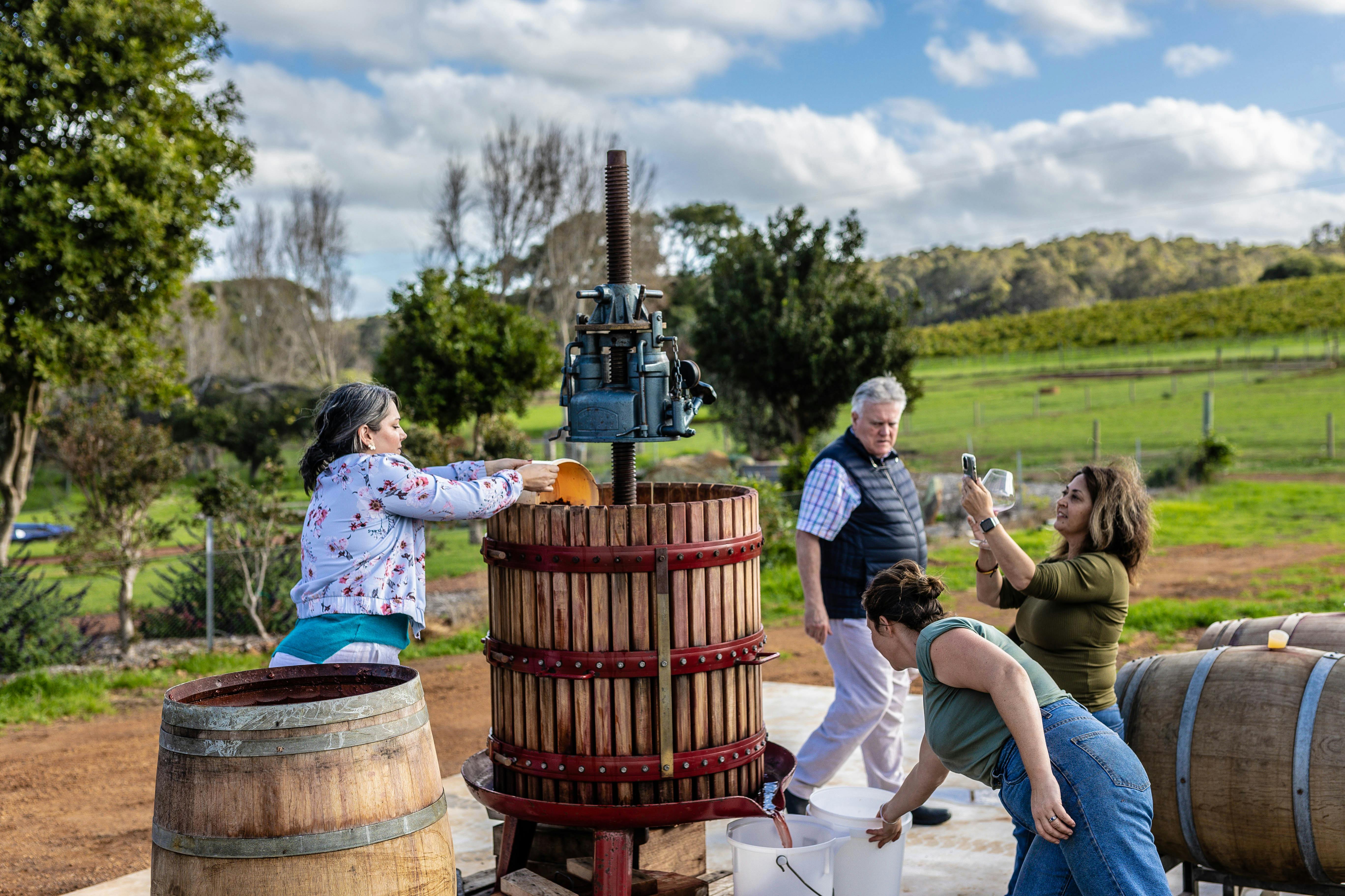 Red wine pressing with the guests