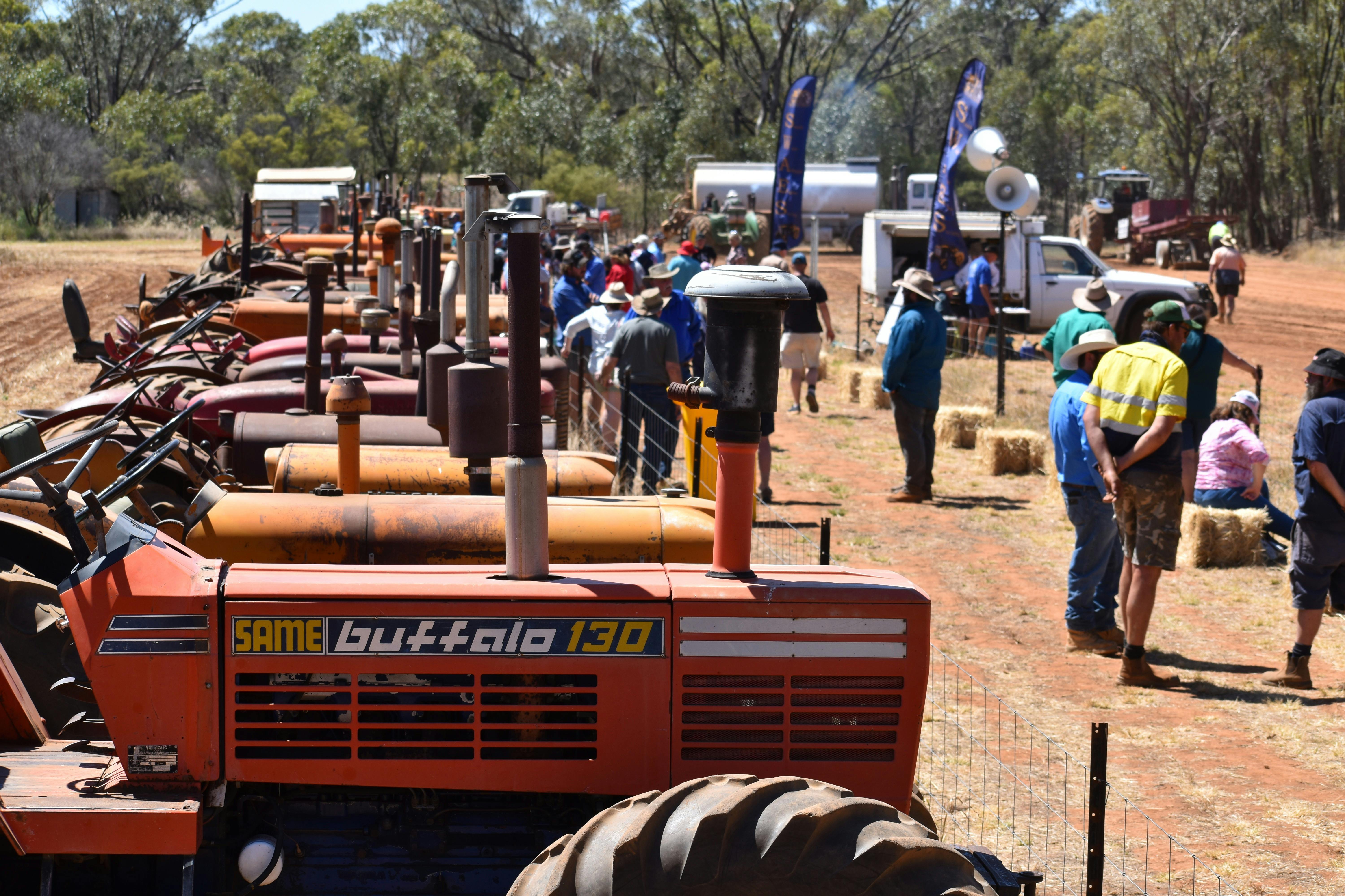 Crowds at the 2025 Tallimba Harvest day
