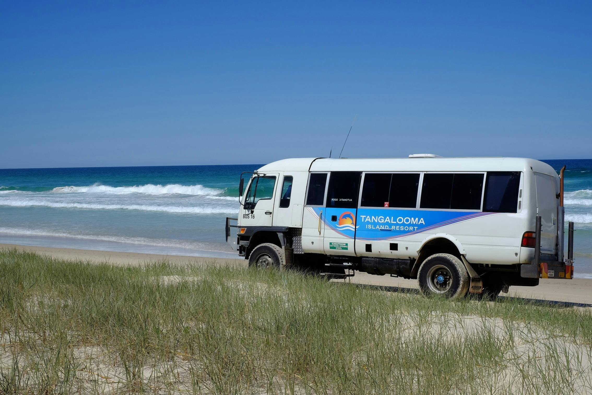 Tangalooma Island Resort 4WD Bus Safari Tours