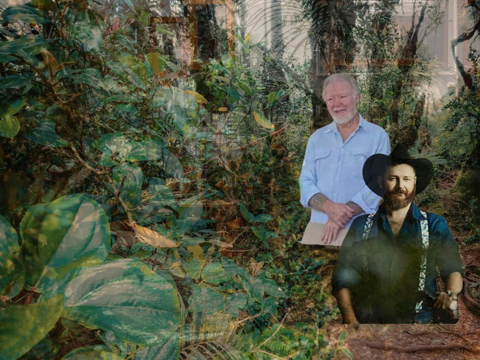 From Rainforest to Garden