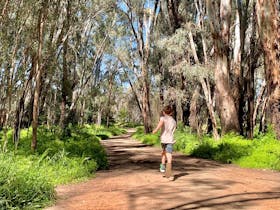 Banyule State Forest Walking Trail