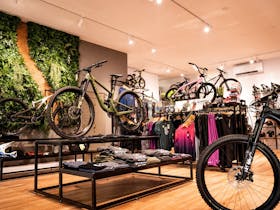 All Terrain Cycles - Bright