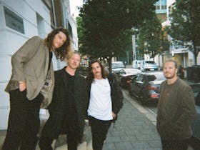 The VANNS