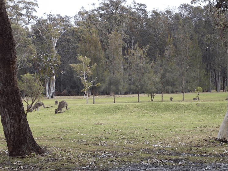 Callala Beach RSL Country Golf Club