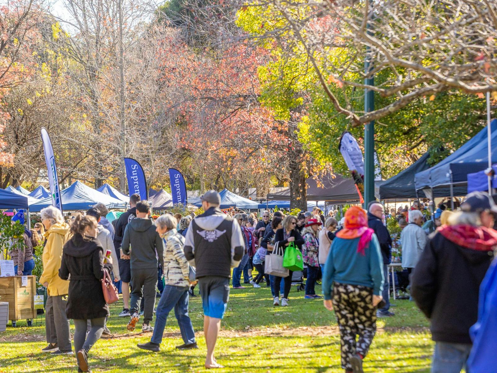 The festival is held in the beautiful Stirk Park.