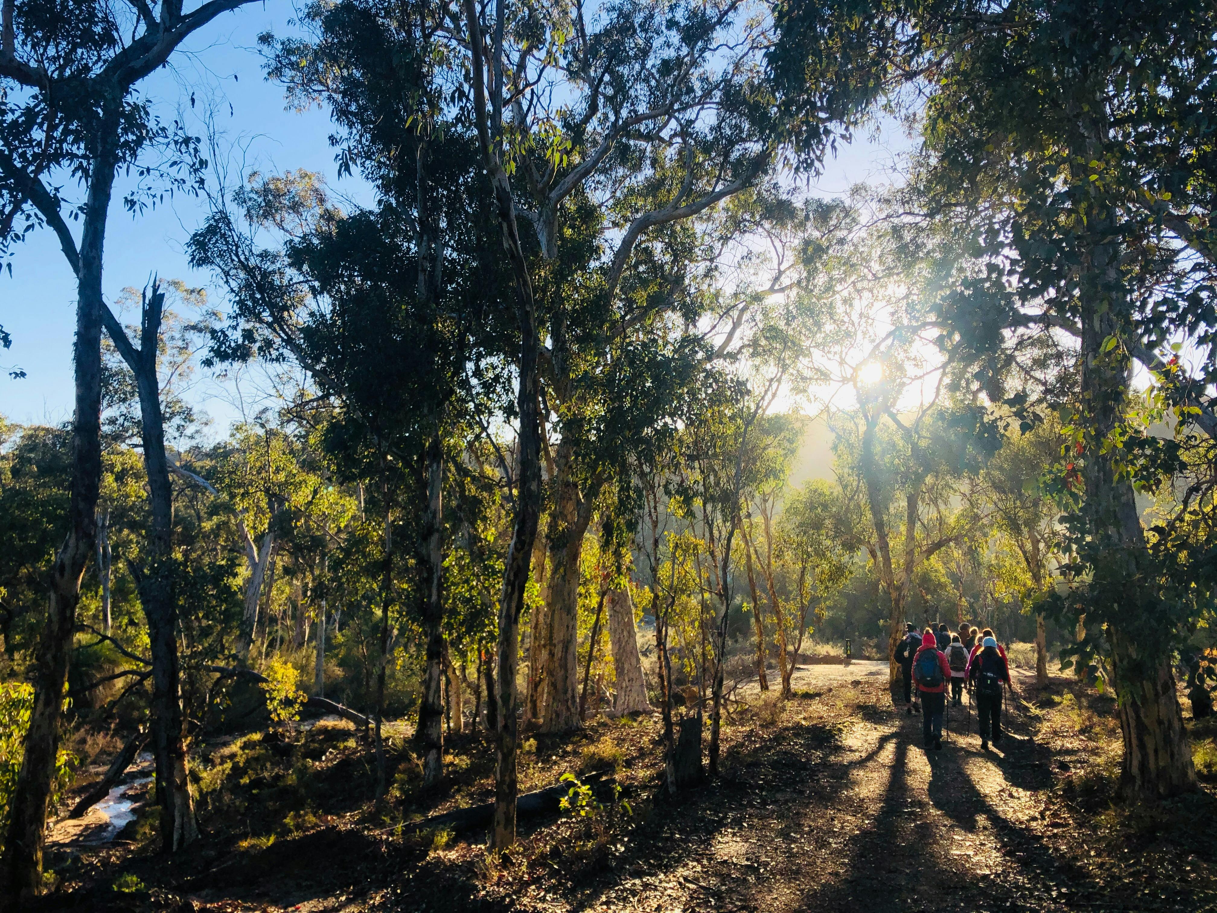 Off The Beaten Track - Perth WA
