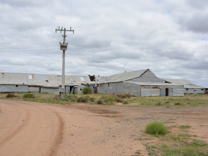 Image for Toganmain Woolshed Precinct Open Days