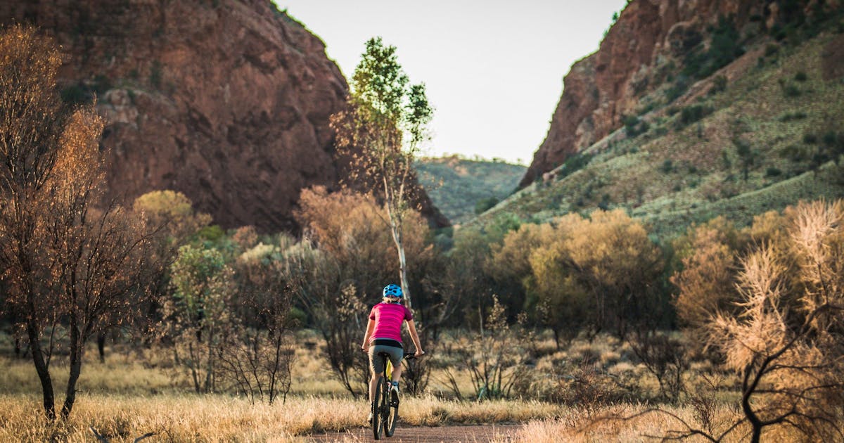 Simpsons Gap Bicycle Path | Things to do in Alice Springs
