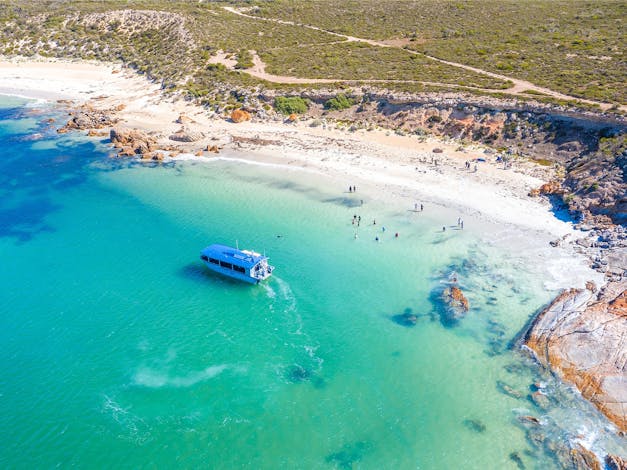 Coral Expeditions - South Australia