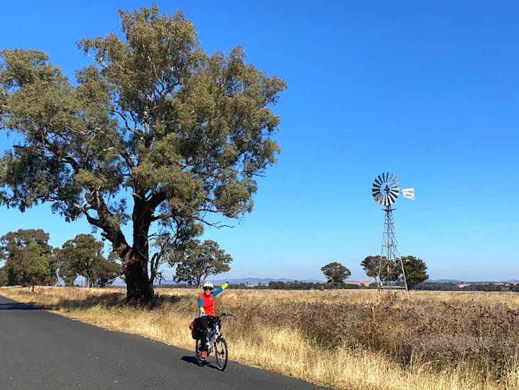 Cyclist with Windmill on route between Gulgong and Dunedoo.