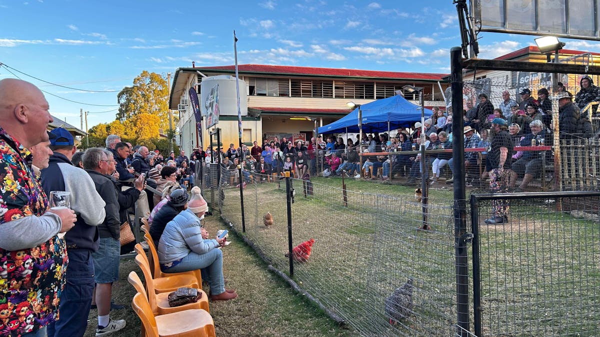 A photo of a large crowd at Ben's Chicken Racing, Tambo Western Queensland Attraction