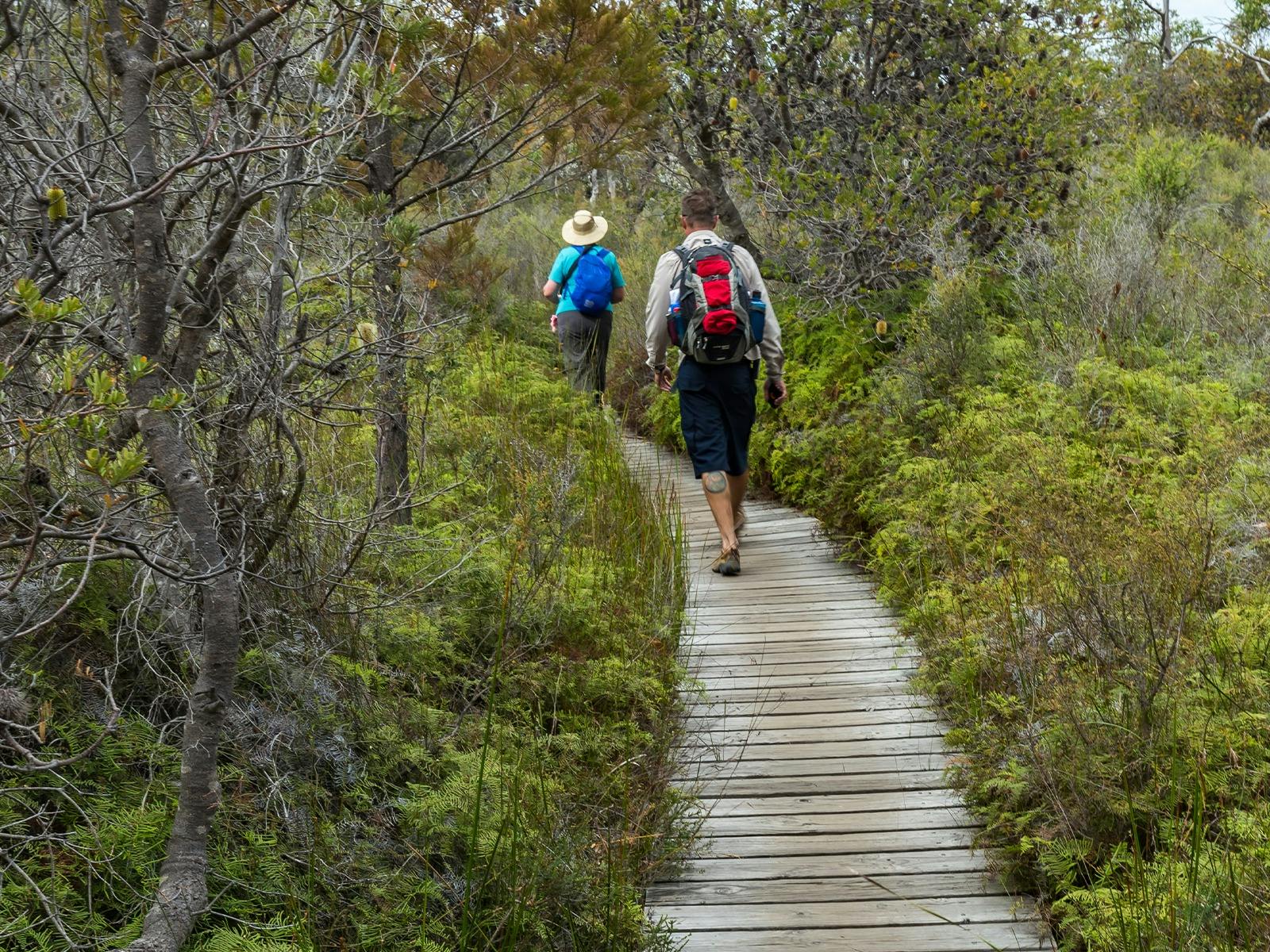 guests hiking tasmania