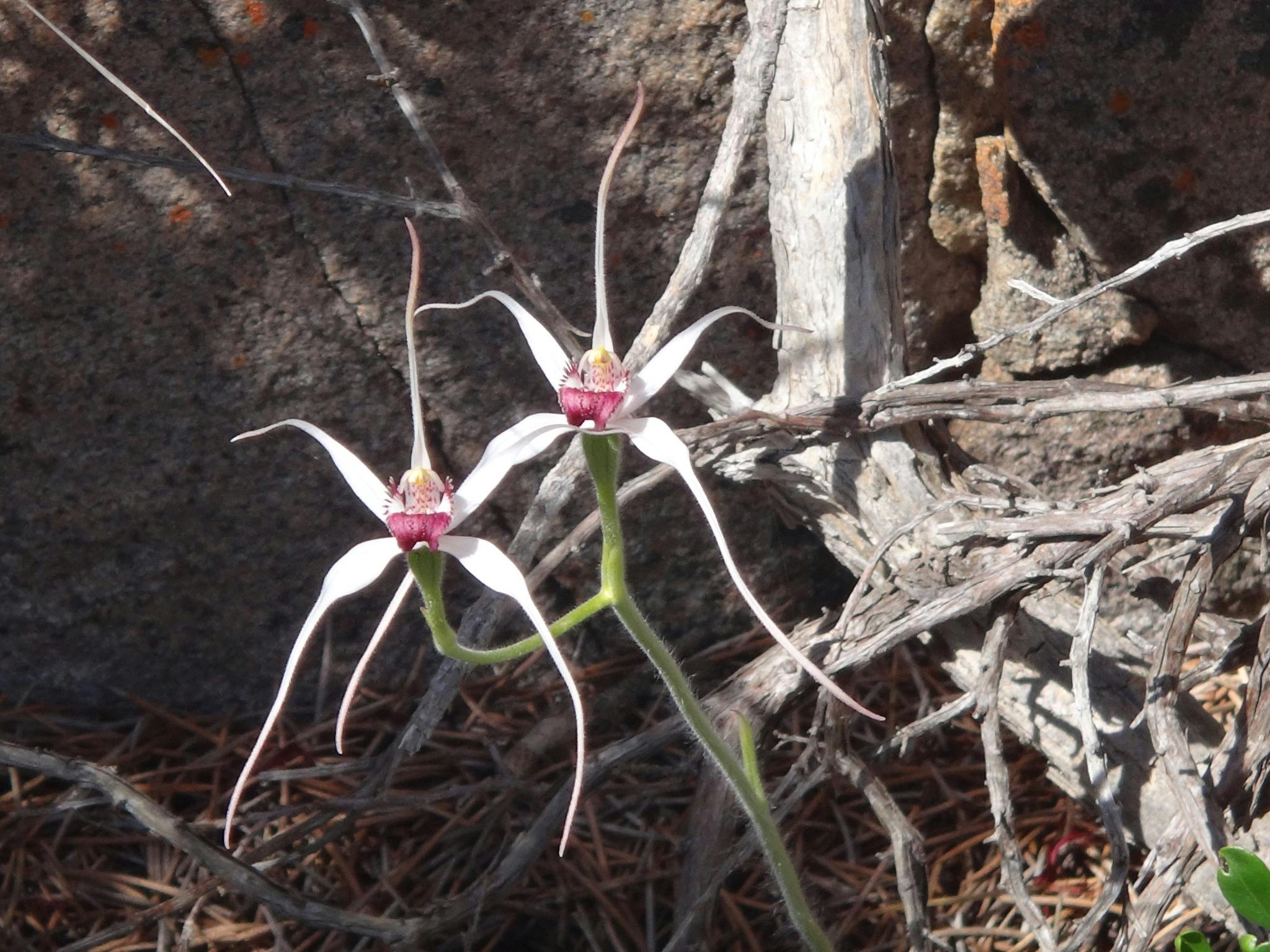 Park Trek Walking Holidays, Kalamunda, Western Australia