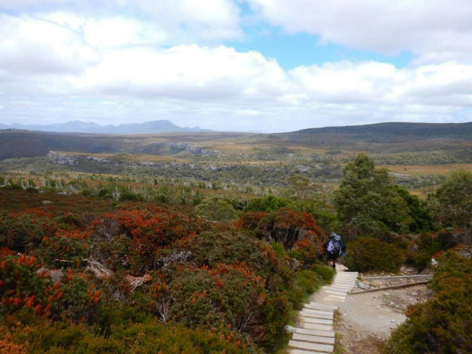 View of Waterfall Valley from The Overland Track
