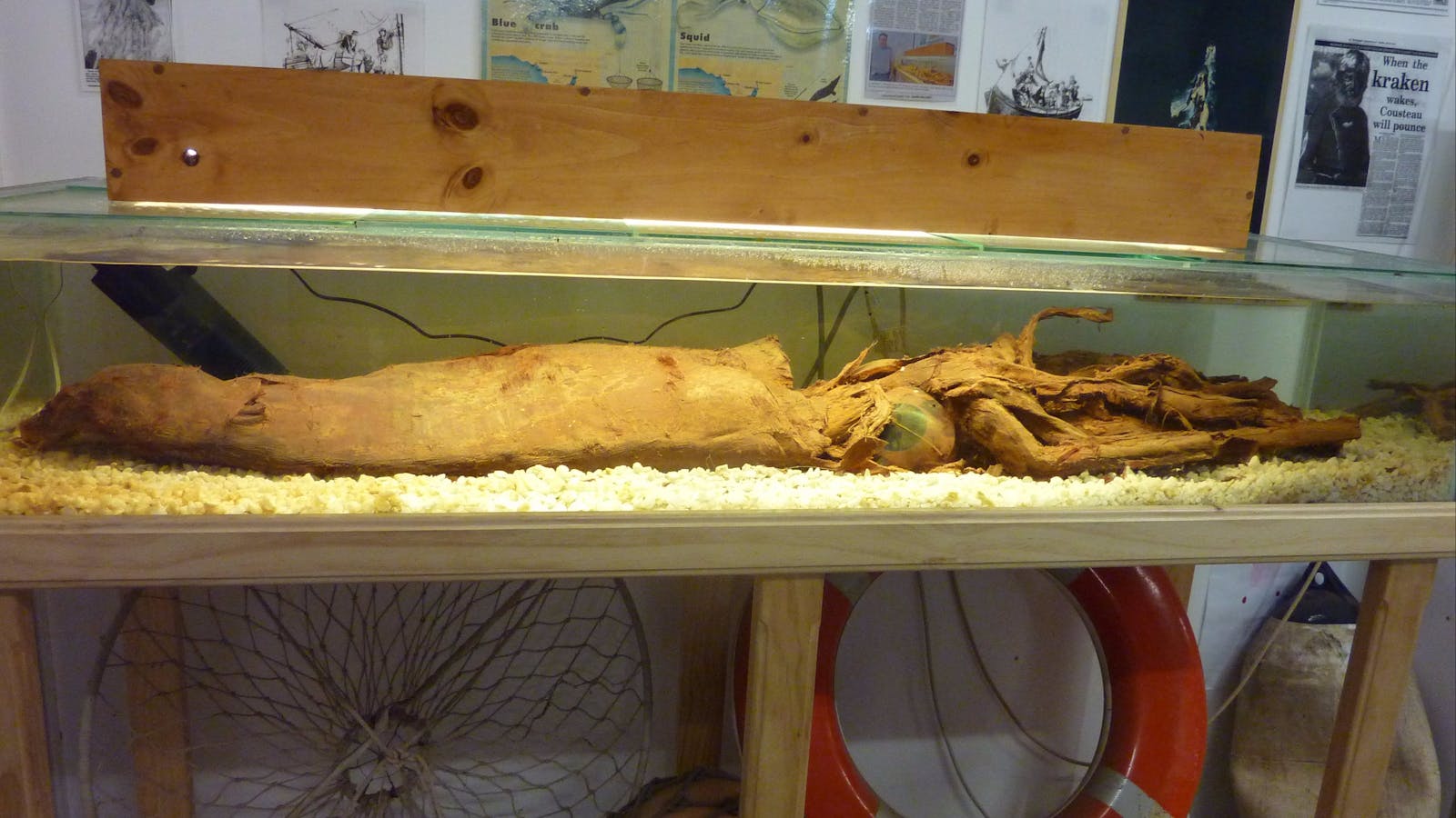 Wallaroo Heritage and Nautical Museum