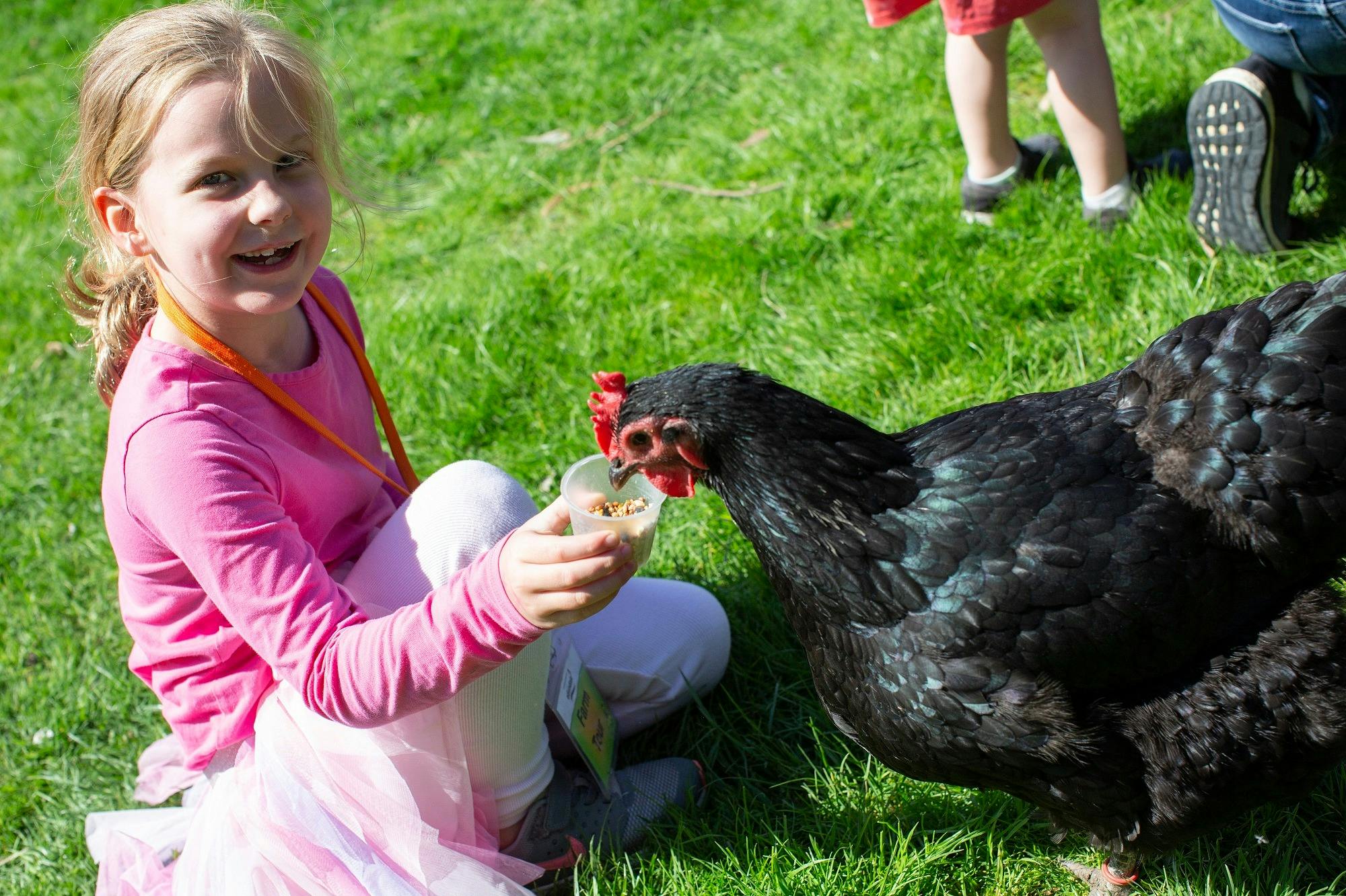 Edendale Community Environment Farm