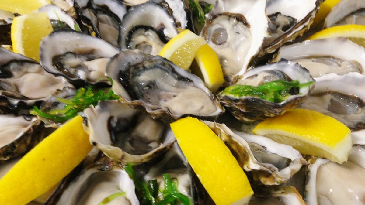 Oysters
