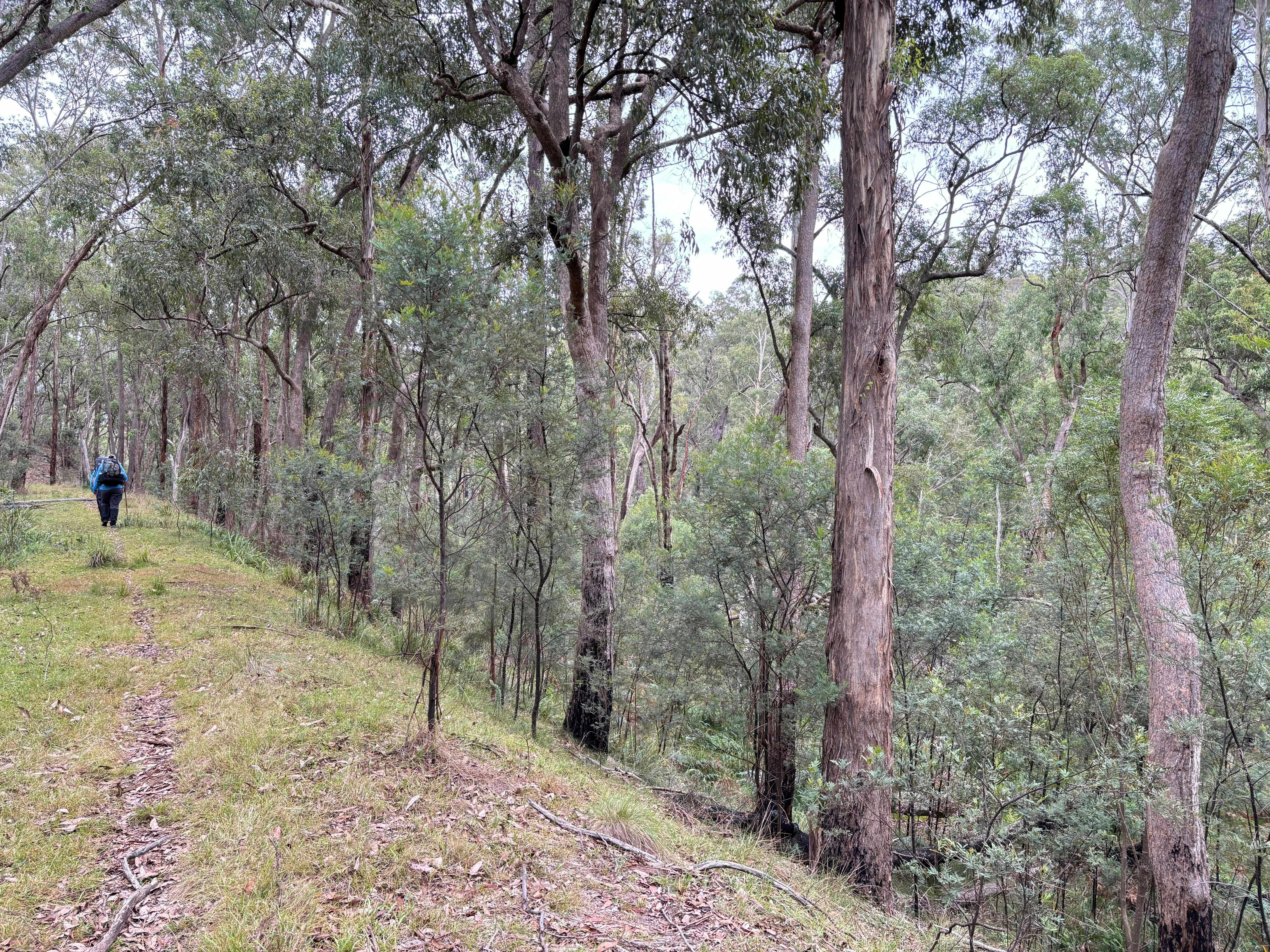 Woman walking along a disused railway embankment on her way into the ghost town of Newnes.