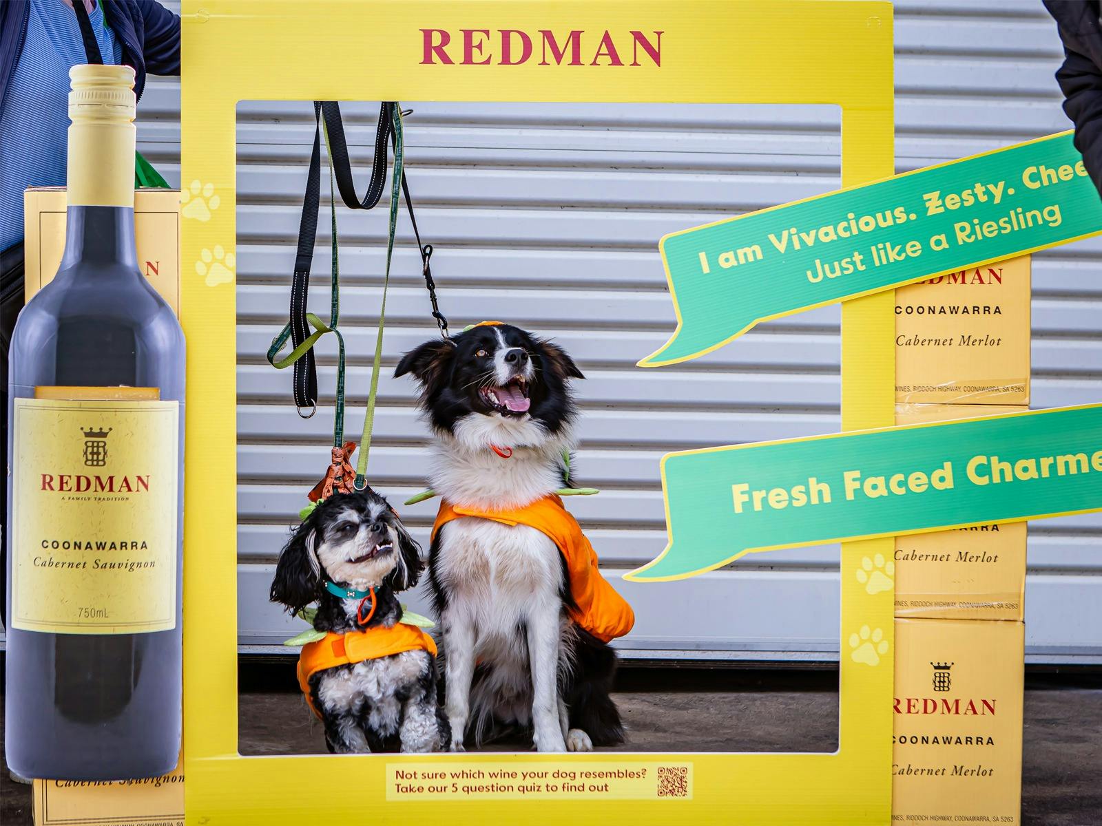 dogs do personality quizz
