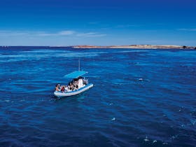 Buccaneer Archipelago, Derby, Western Australia