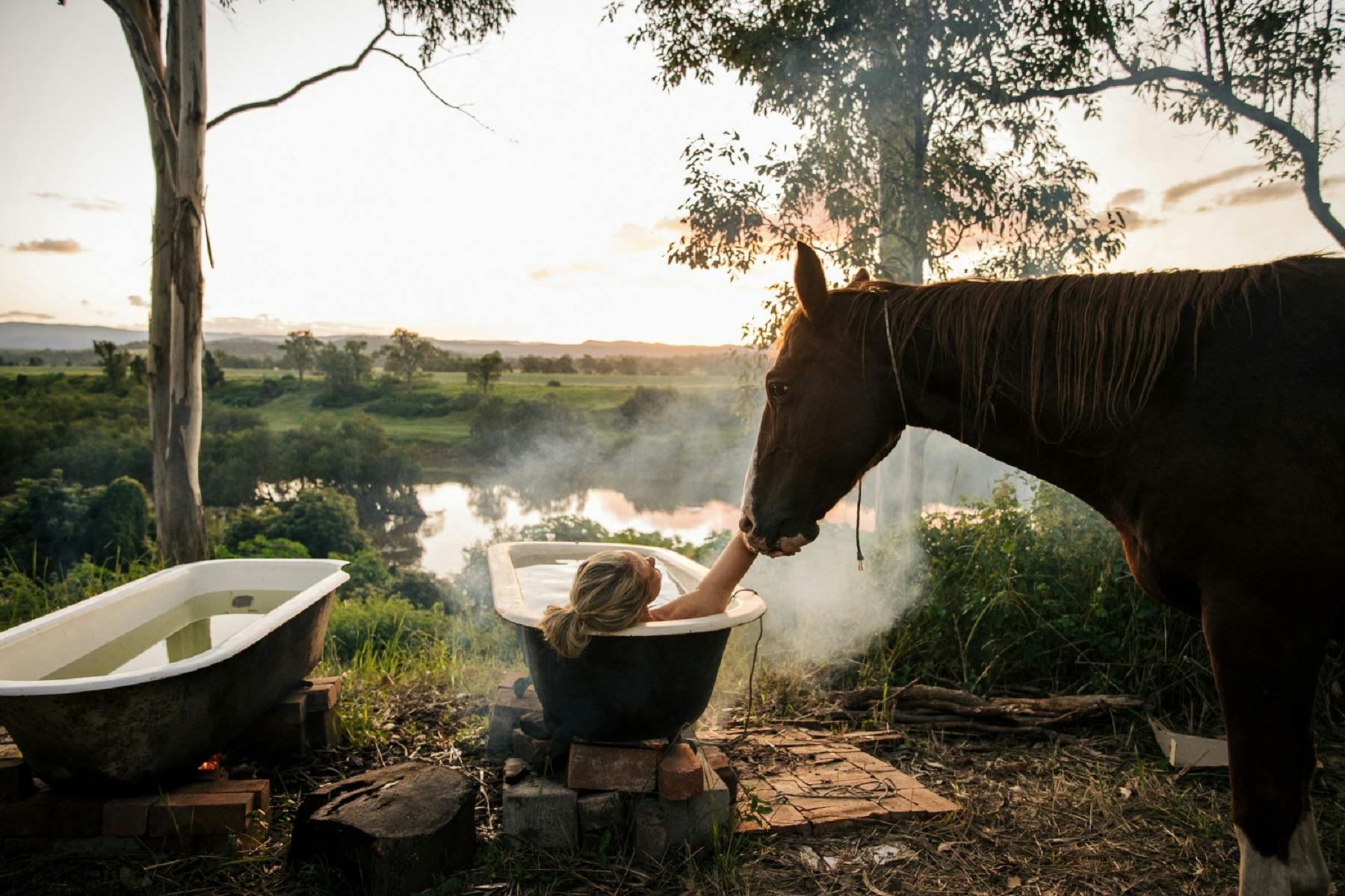 ザ ランチ オン クラレンス: 乗馬と馬に関する体験