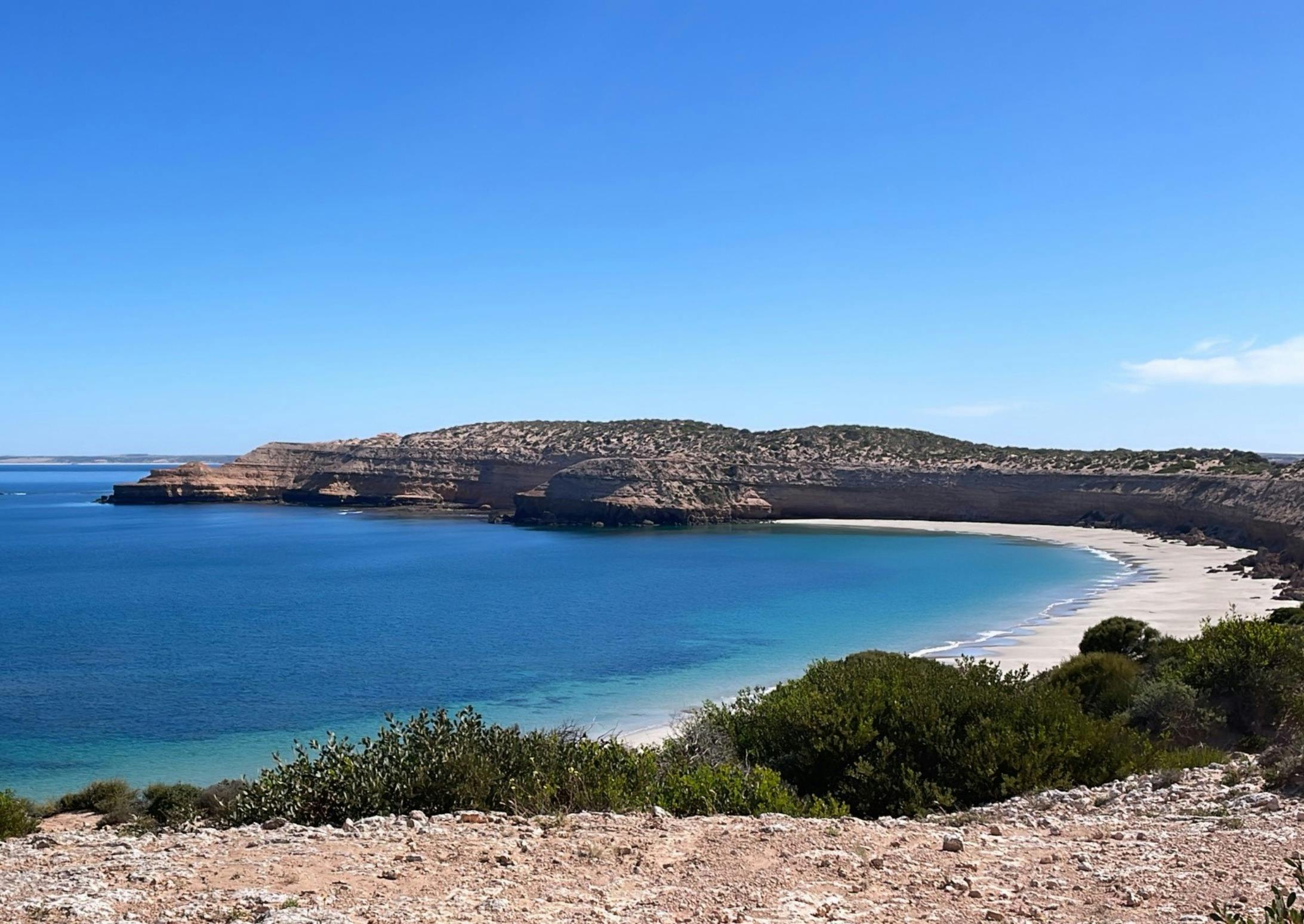 High Cliff - Westall Way Loop