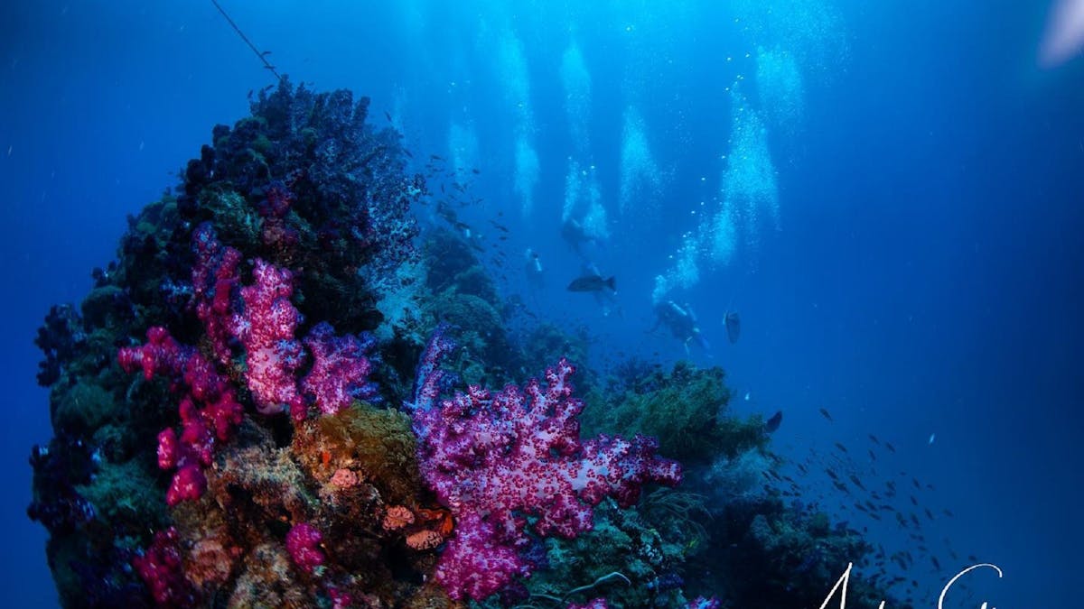 Yongala wreck