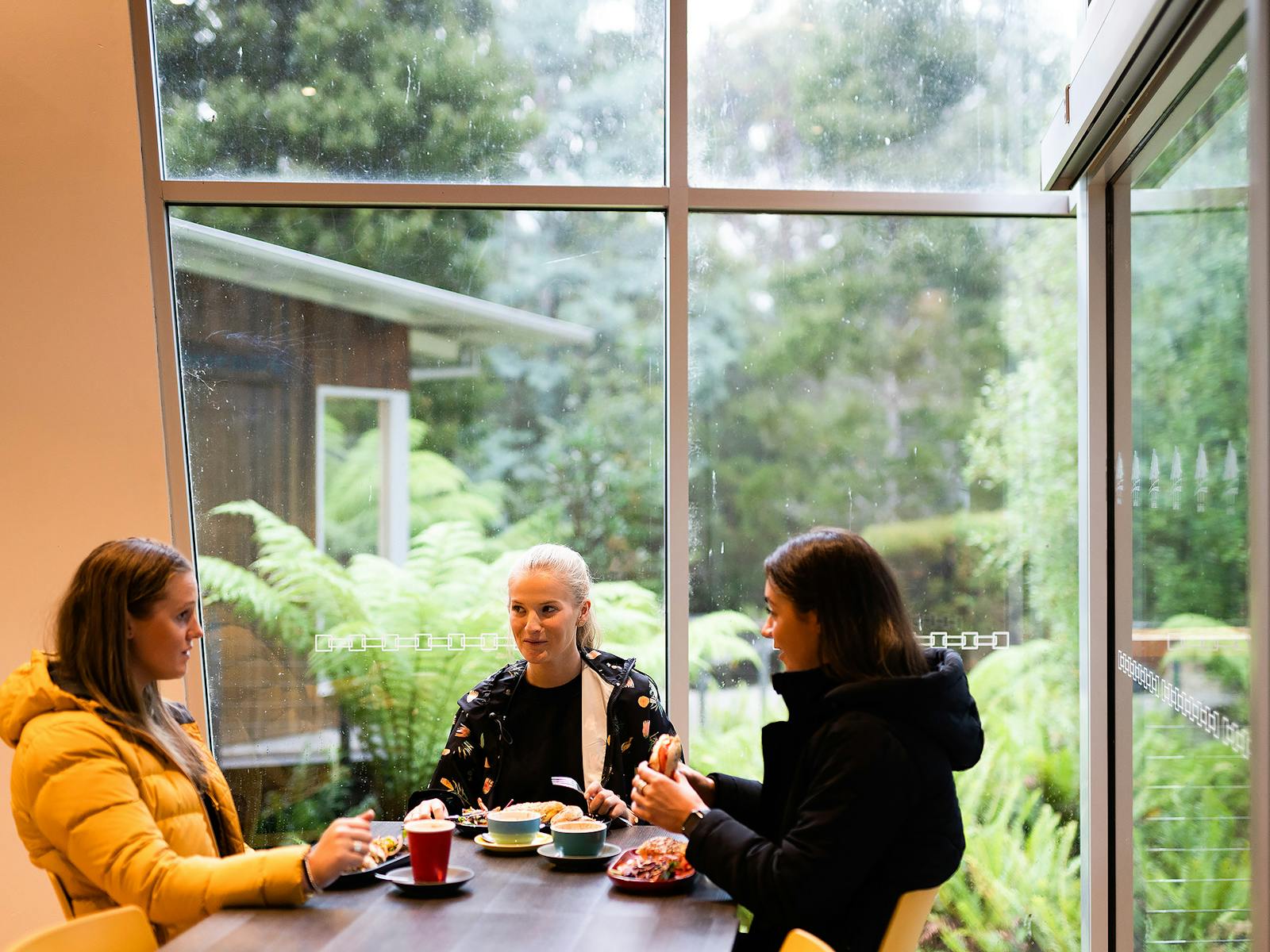 Three women sitting at a table eating, with a big window behind them that looks out into the forest.
