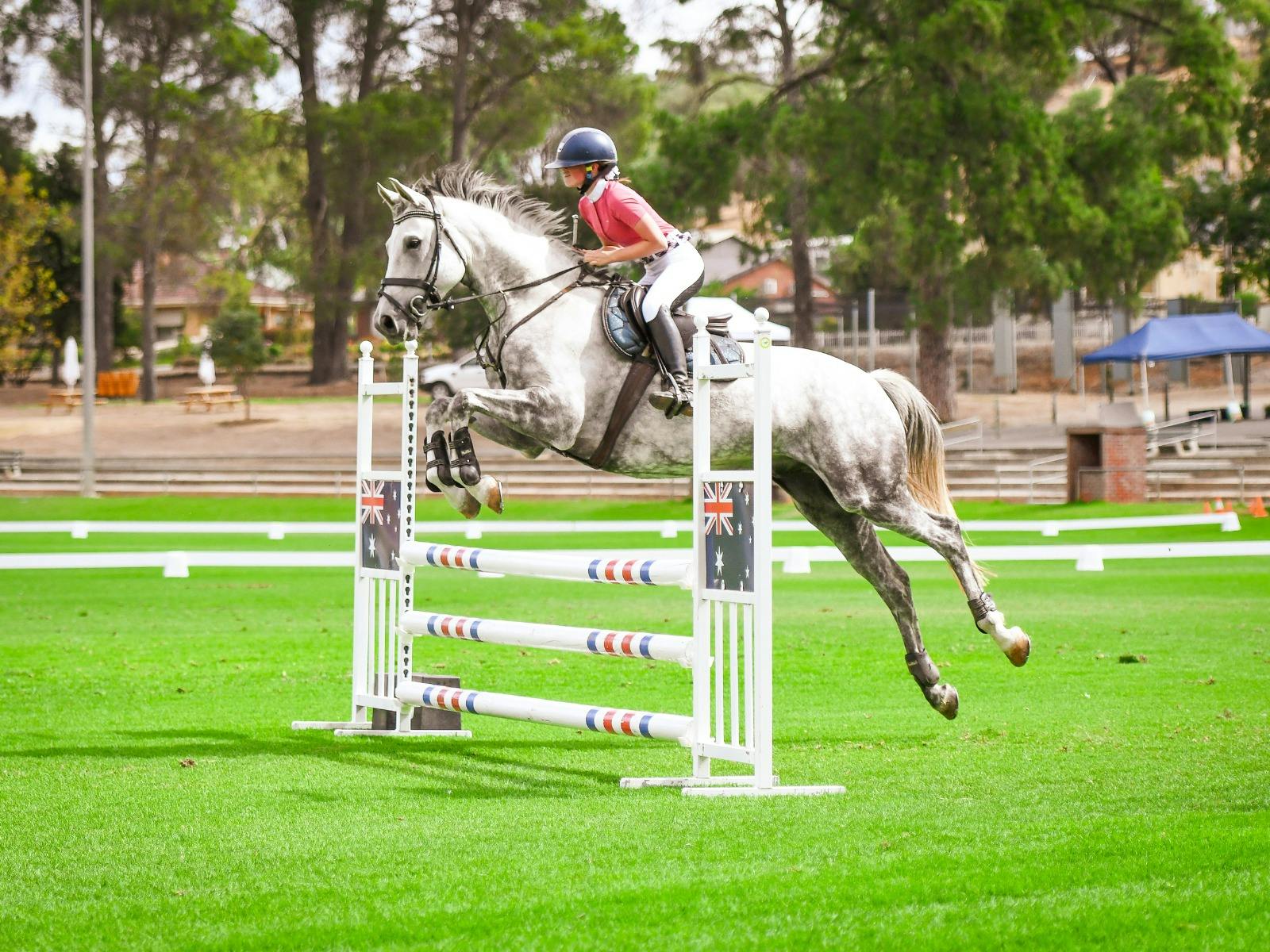 Horse and rider competing in show jumping at Angaston Show Horses in Action