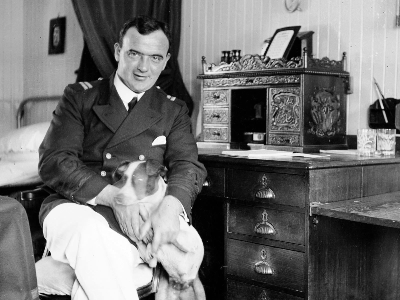 Cats & Dogs All At Sea exhibition