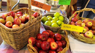 Braidwood Farmers Market