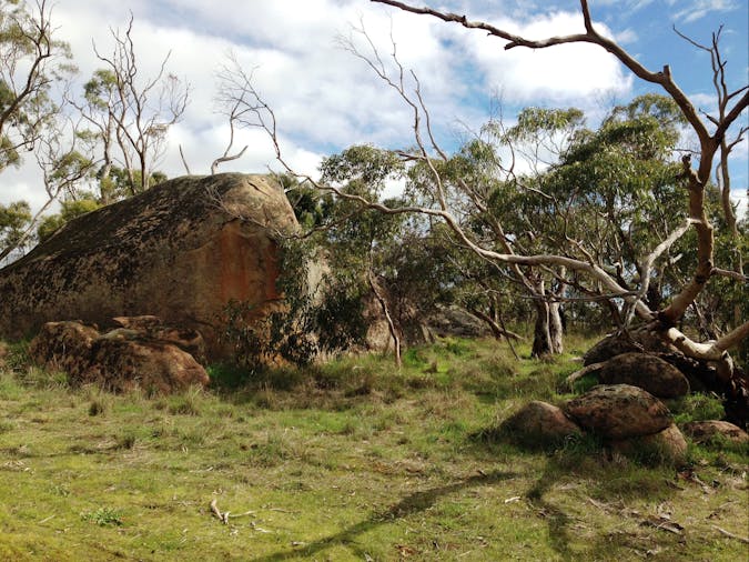 Messent Conservation Park Tintinara