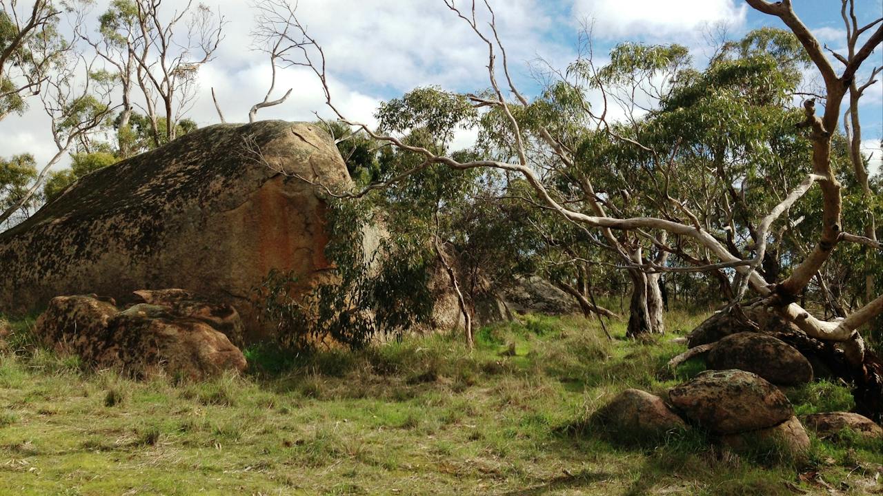 Messent Conservation Park
