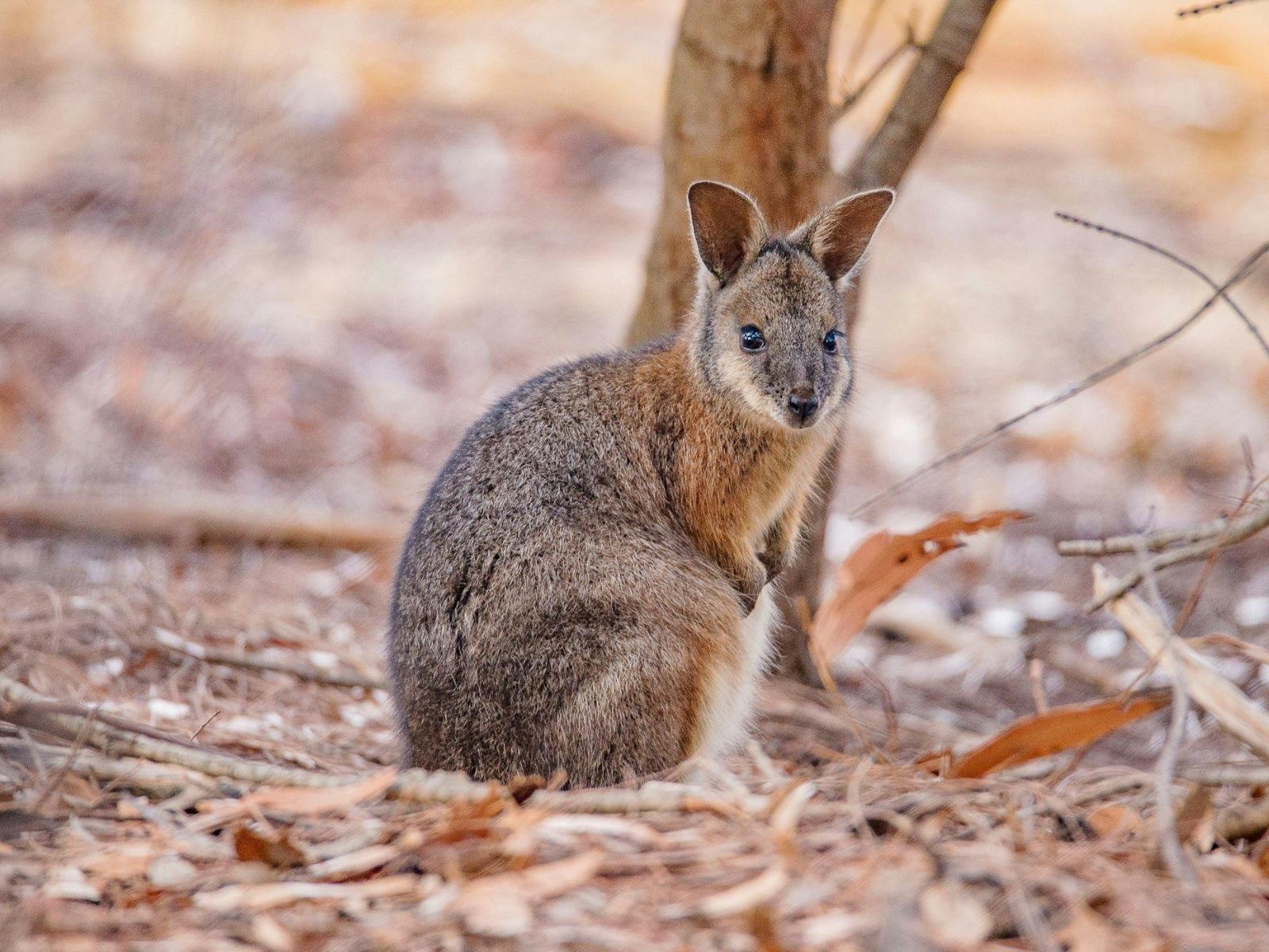 Australian Geographic Travel Slider Image 4