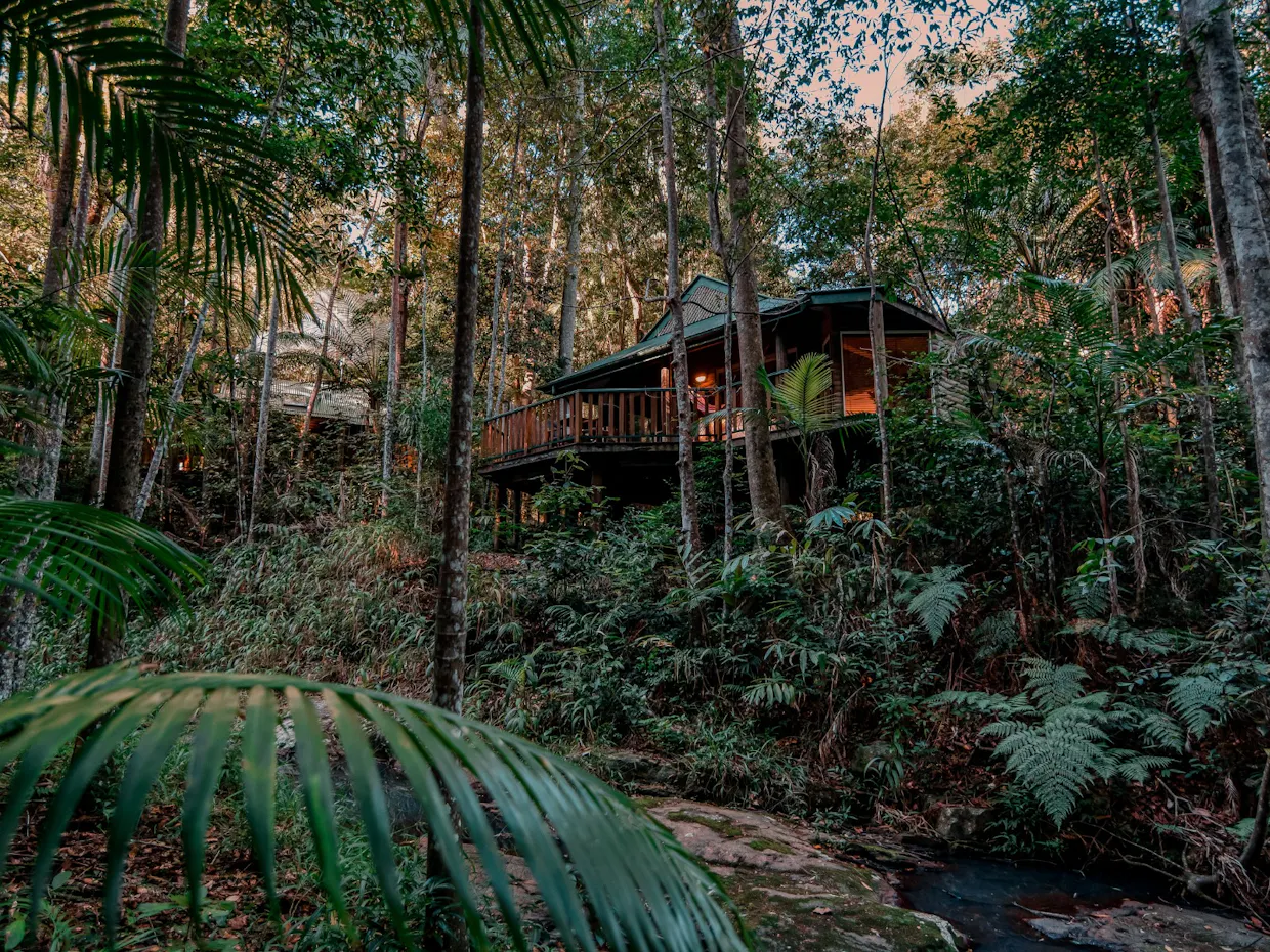 Narrows Escape Rainforest Retreat