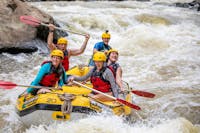 Photo on the Barron River