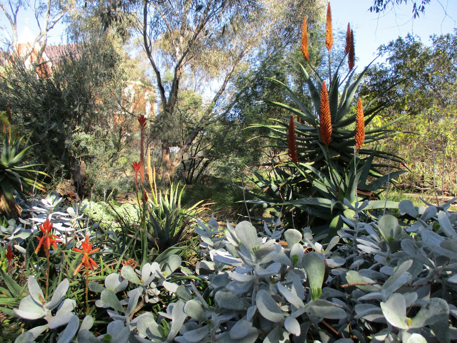 Image for Erin Earth Spring Open Garden Day
