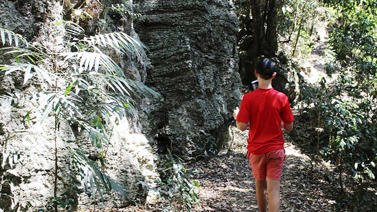 Gold Coast Hinterland Gold Coast Hinterland