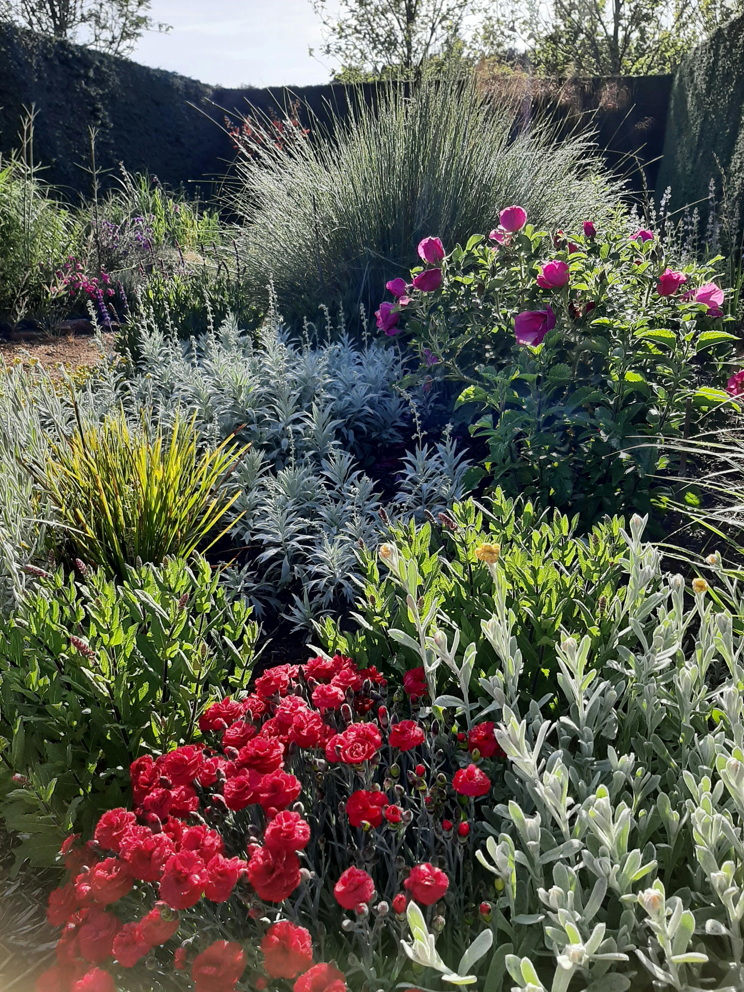 High Country Gardens, Cafe, Gallery and Maze