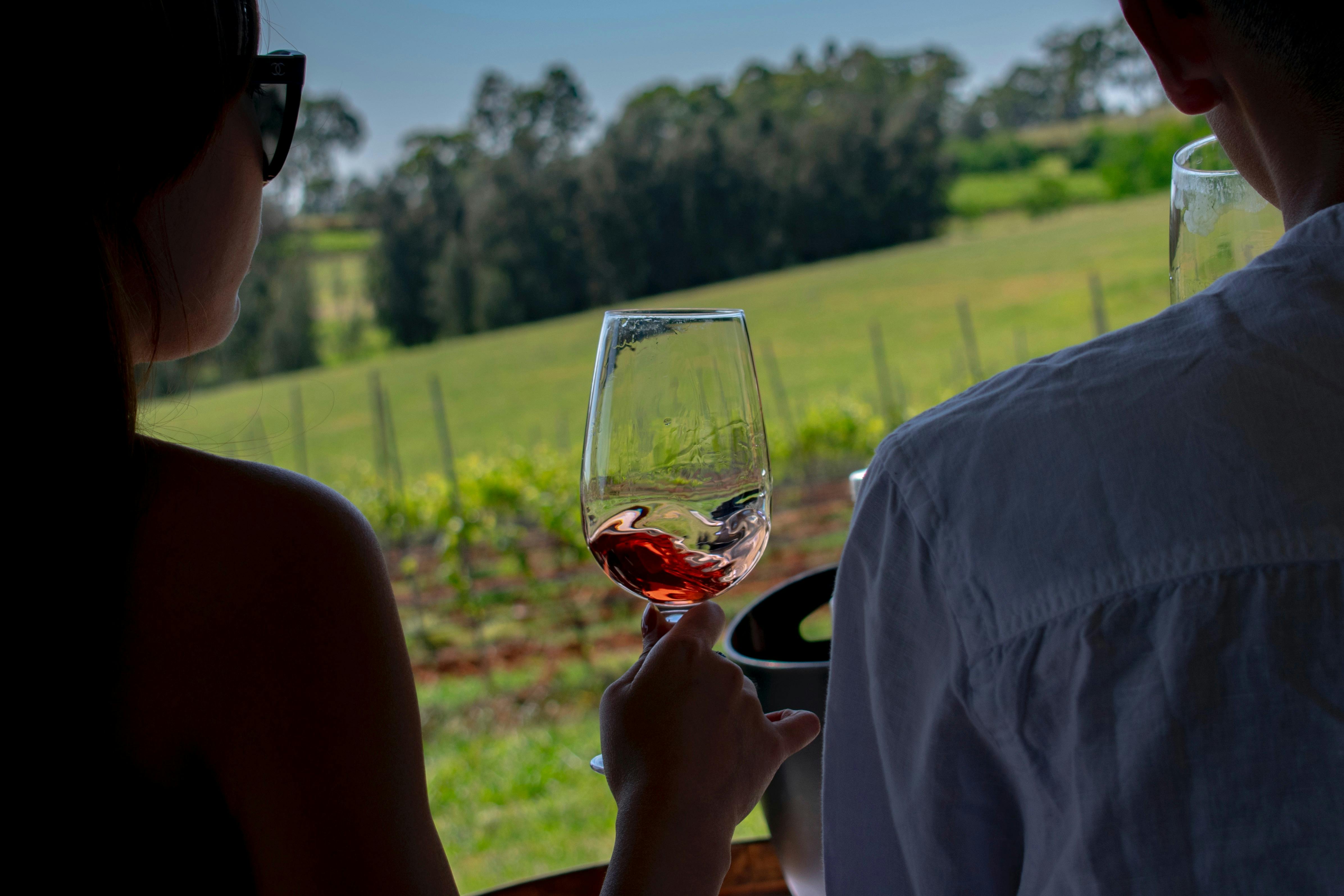 Looking over their shoulders, we see a glass of red wine and the grape vines beyond with bush & sky