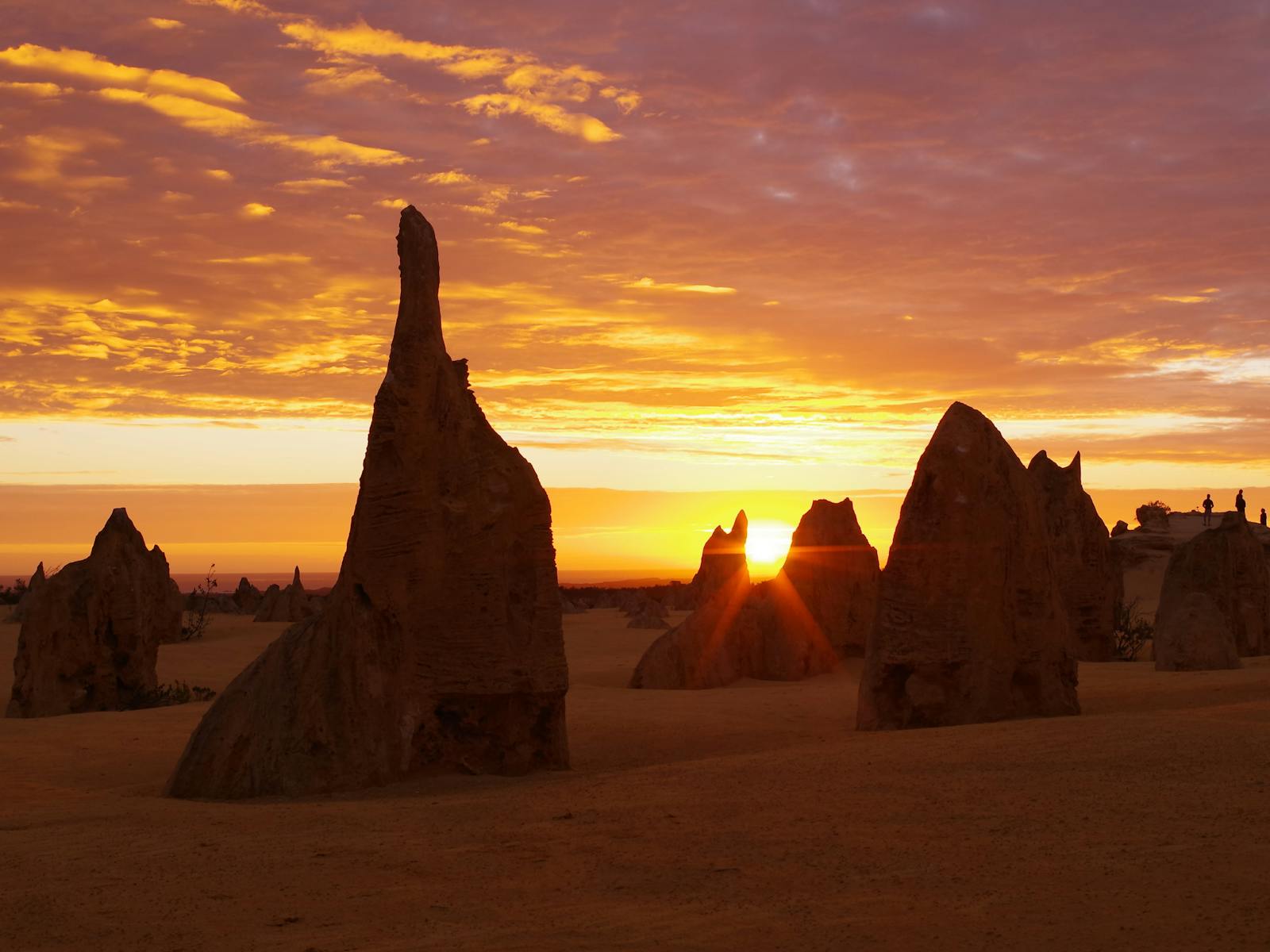 Red Earth Safaris