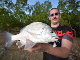 bream darwin