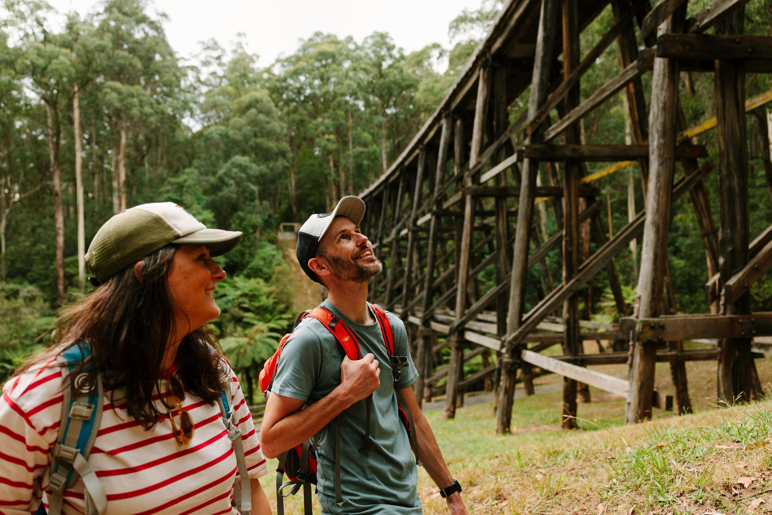 Noojee Trestle Bridge and Rail Trail