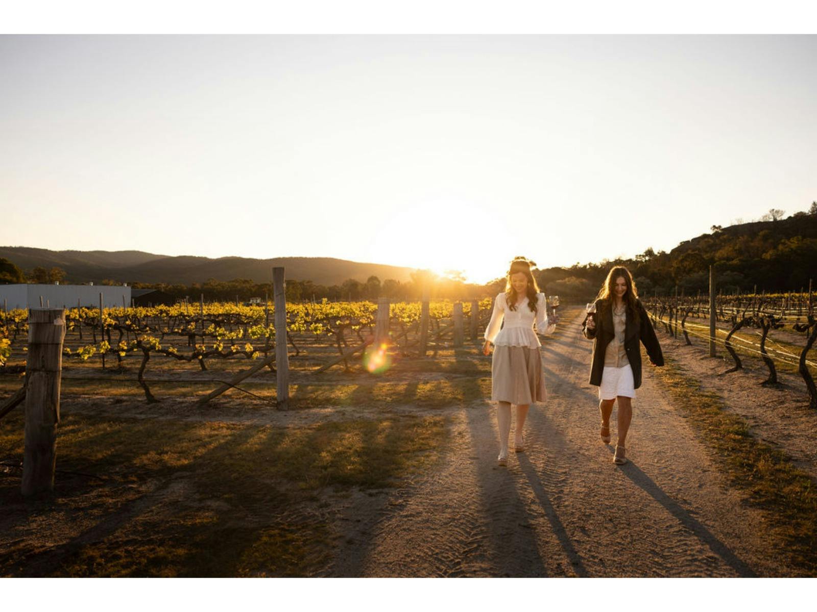 Enjoy sunset wine masterclass in the Balancing Heart Vineyard