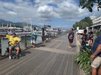 Sharing Gunggandji and Yirrganydji ancient creation stories at the Cairns Marlin Marina.
