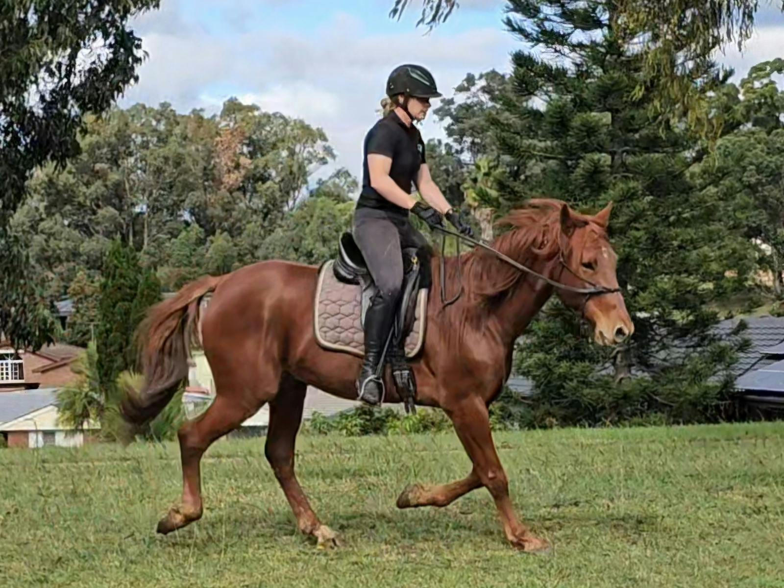Learn to ride horses in Western Sydney