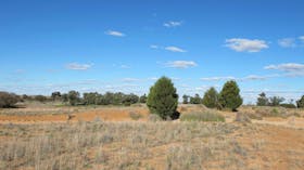 Zanci Pastoral Loop