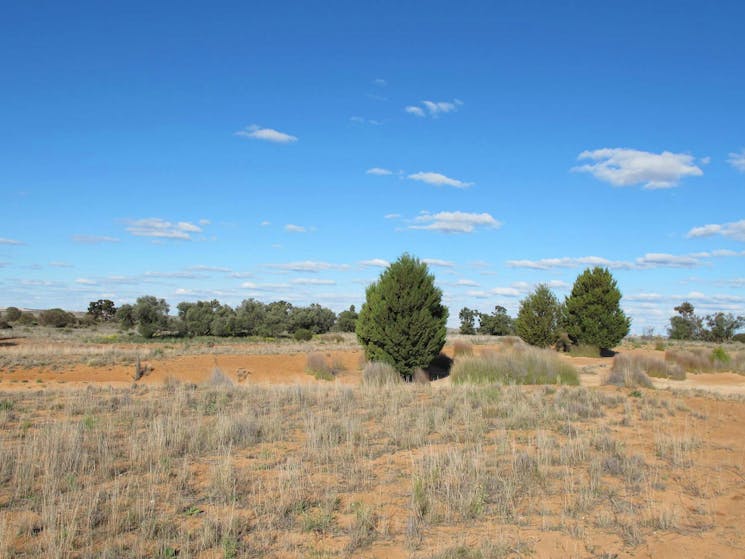 Zanci Pastoral loop, Mungo National Park. Photo: Wendy Hills/NSW Government