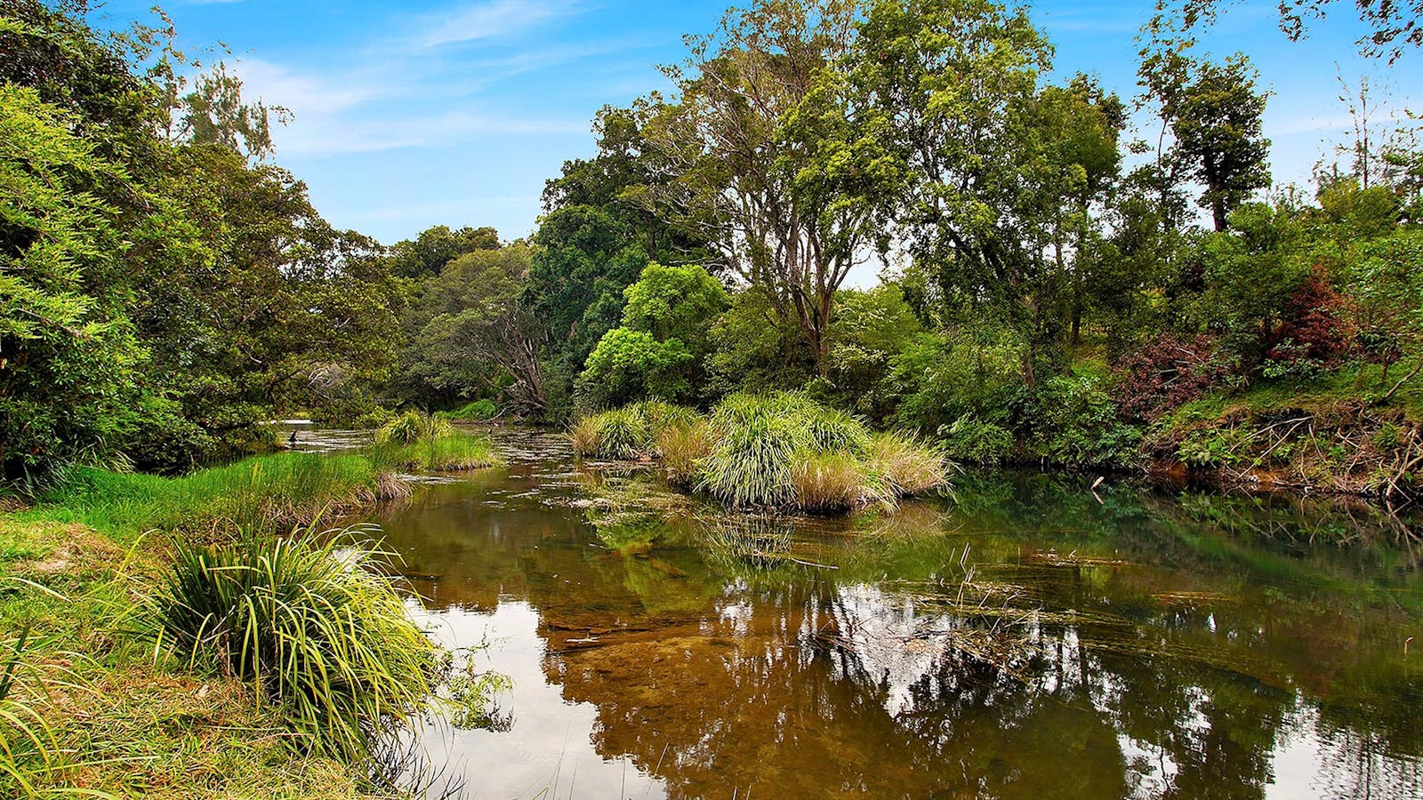 Orara River