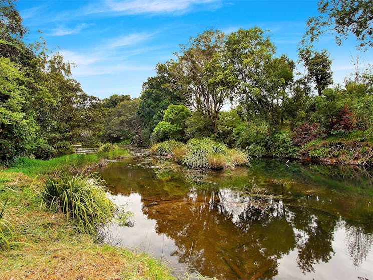 Orara River